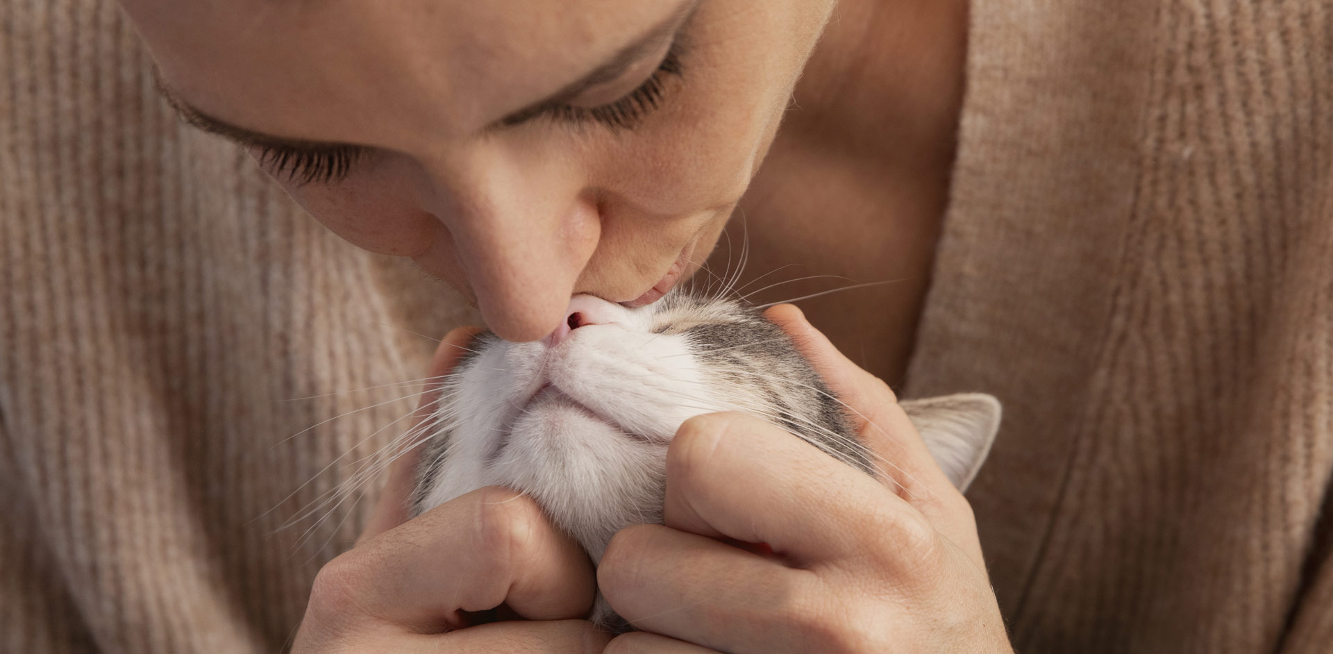 OD中国有限公司官网,OD官方网站股份有限公司