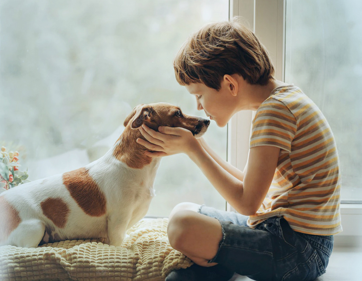 OD中国有限公司官网,OD官方网站股份有限公司